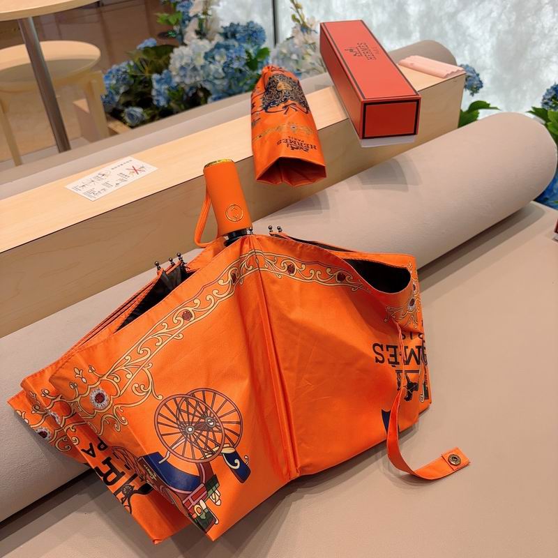 Hermes Umbrella (27)